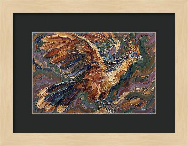 Hoatzin In Flight