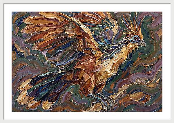 Hoatzin In Flight