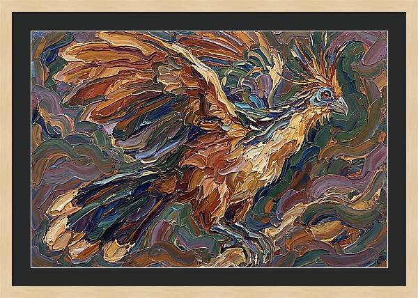 Hoatzin In Flight