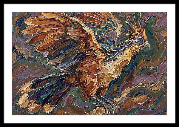 Hoatzin In Flight