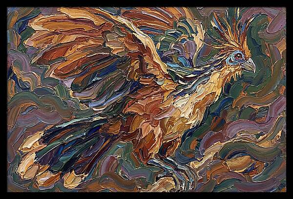 Hoatzin In Flight