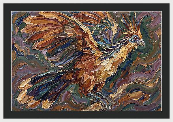 Hoatzin In Flight