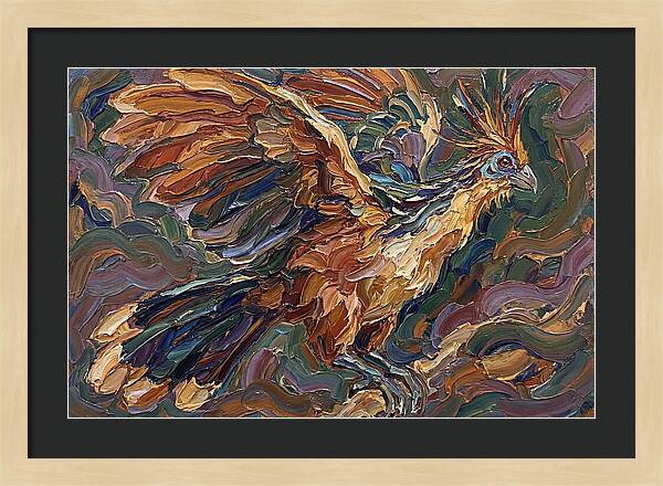 Hoatzin In Flight