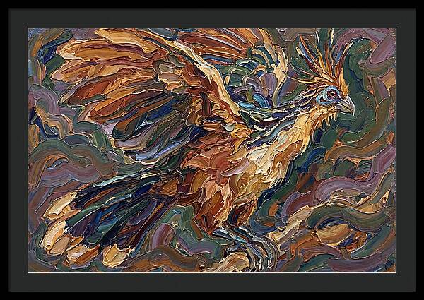 Hoatzin In Flight