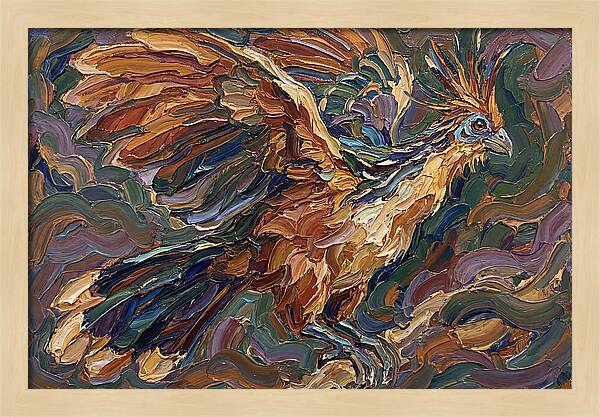 Hoatzin In Flight