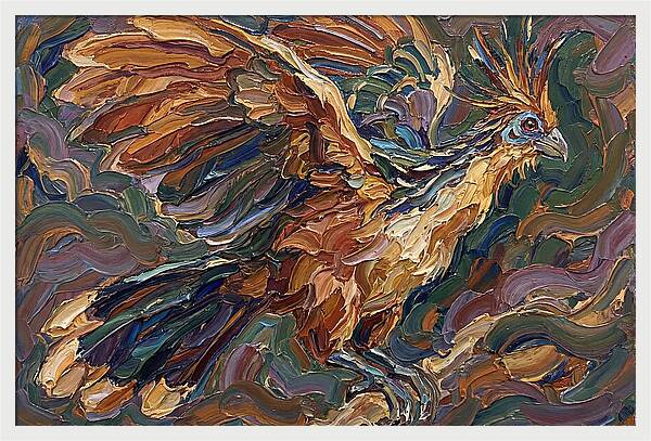 Hoatzin In Flight