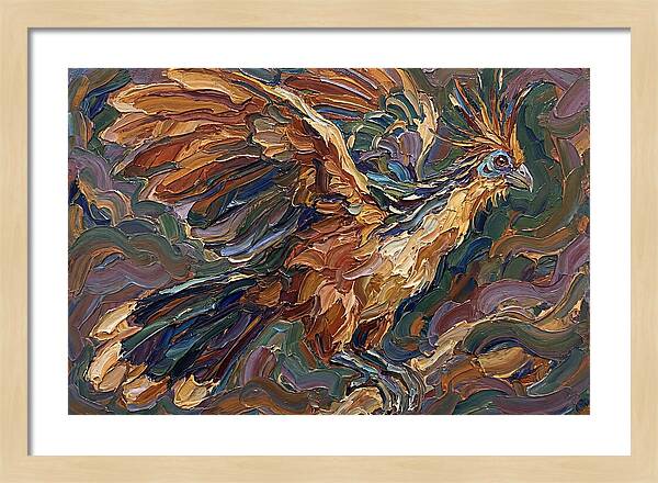 Hoatzin In Flight