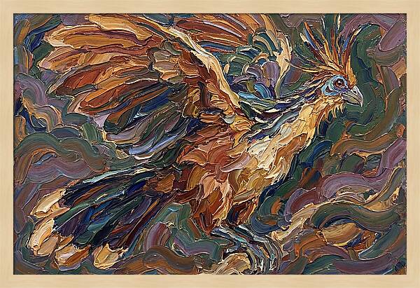 Hoatzin In Flight