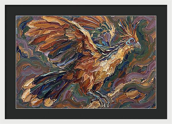 Hoatzin In Flight