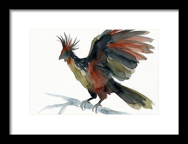 Hoatzin In Watercolor Splendor