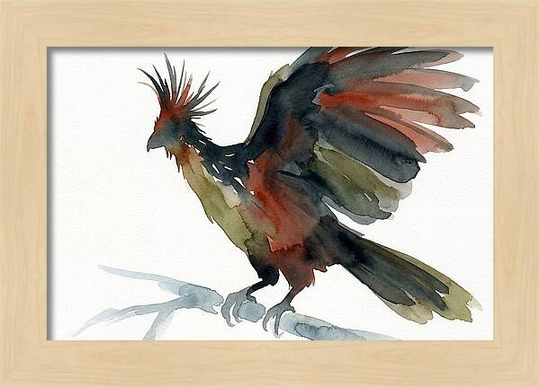 Hoatzin In Watercolor Splendor