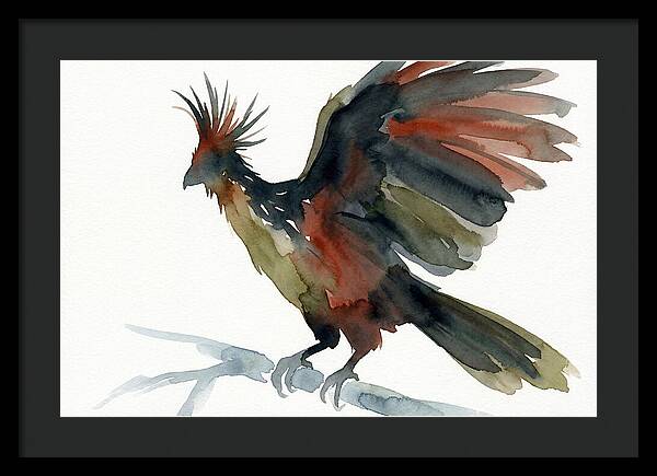 Hoatzin In Watercolor Splendor