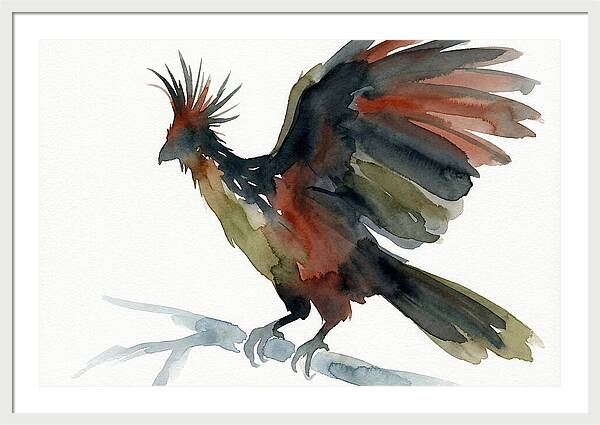 Hoatzin In Watercolor Splendor