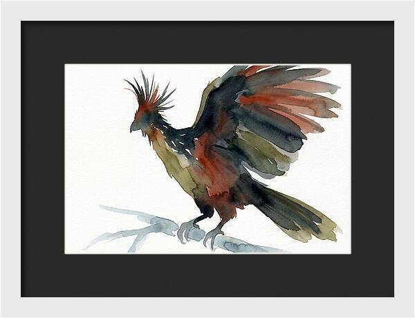 Hoatzin In Watercolor Splendor