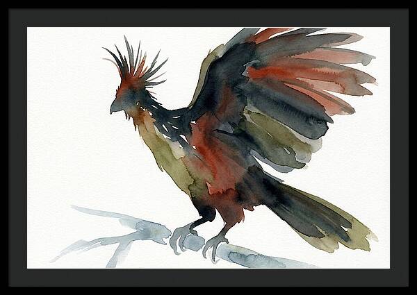 Hoatzin In Watercolor Splendor