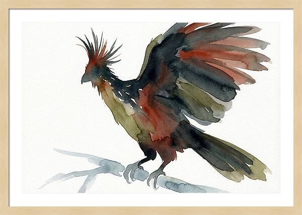 Hoatzin In Watercolor Splendor