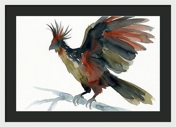 Hoatzin In Watercolor Splendor
