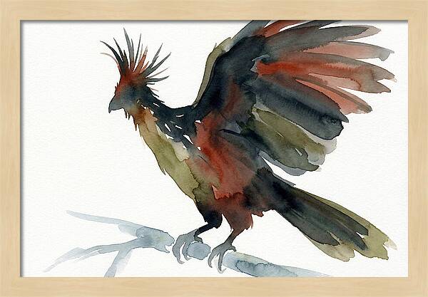 Hoatzin In Watercolor Splendor