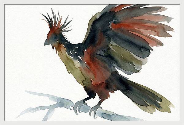 Hoatzin In Watercolor Splendor
