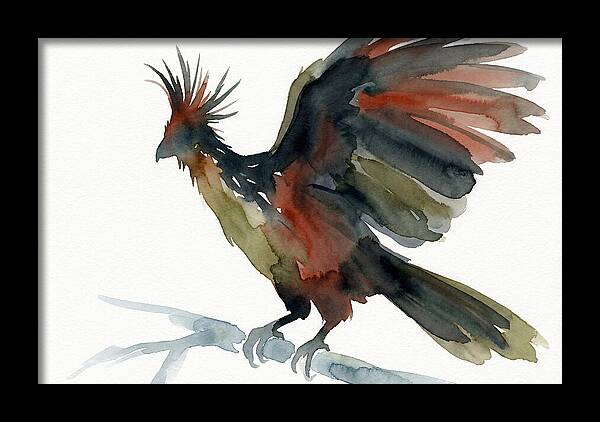 Hoatzin In Watercolor Splendor