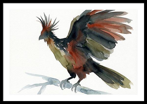 Hoatzin In Watercolor Splendor