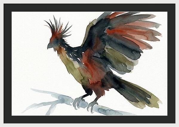 Hoatzin In Watercolor Splendor
