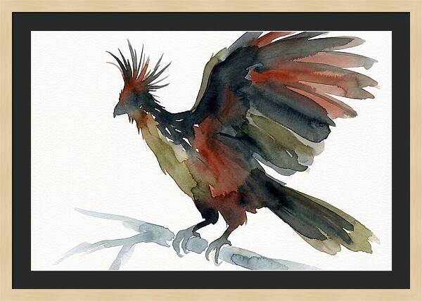 Hoatzin In Watercolor Splendor