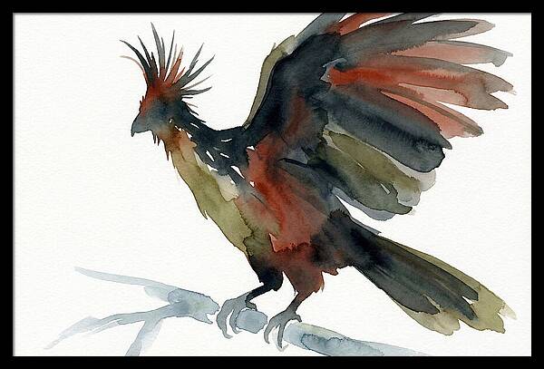 Hoatzin In Watercolor Splendor