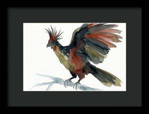 Hoatzin In Watercolor Splendor