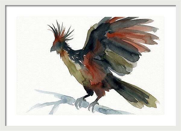Hoatzin In Watercolor Splendor
