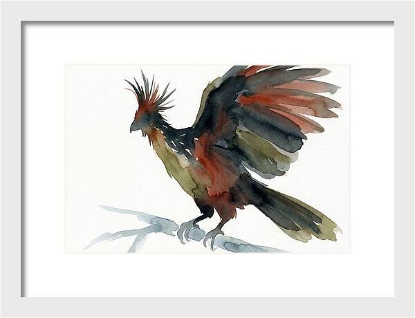 Hoatzin In Watercolor Splendor