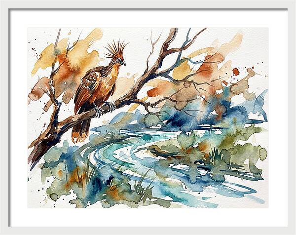 Hoatzin Perched By The Water