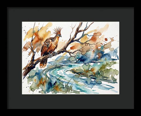 Hoatzin Perched By The Water
