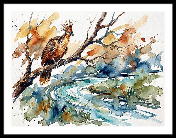 Hoatzin Perched By The Water