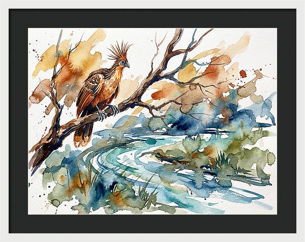 Hoatzin Perched By The Water