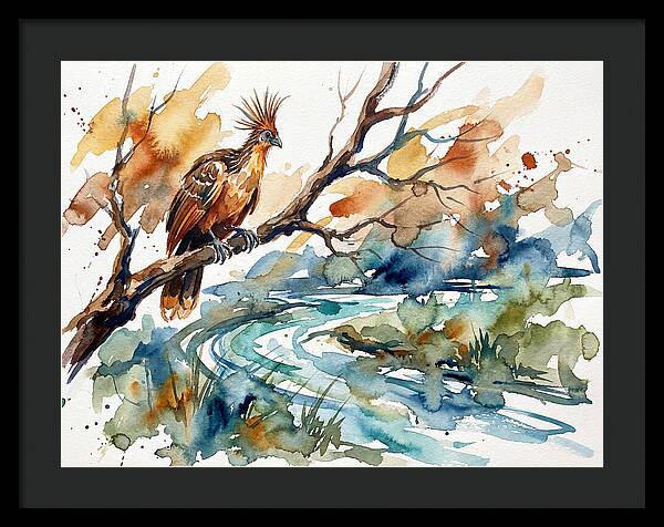 Hoatzin Perched By The Water