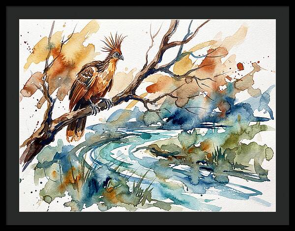 Hoatzin Perched By The Water