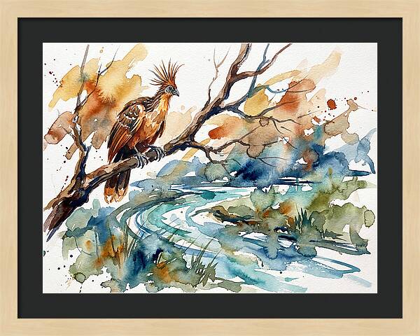 Hoatzin Perched By The Water
