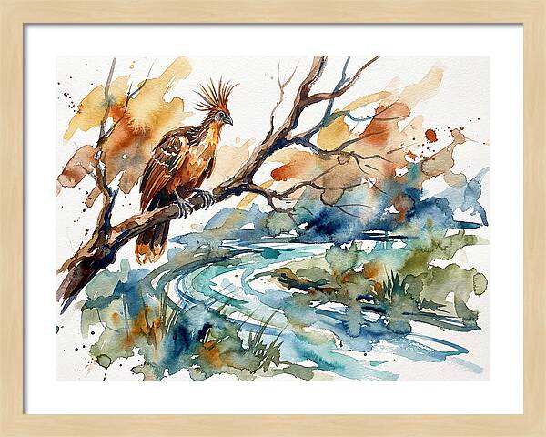 Hoatzin Perched By The Water
