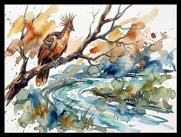 Hoatzin Perched By The Water