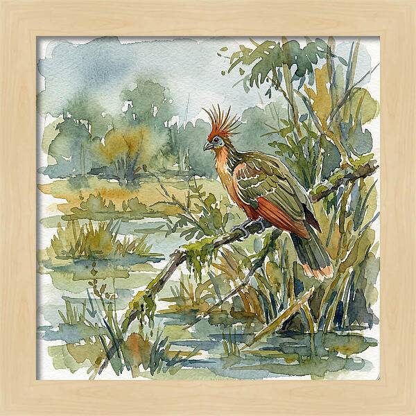 Hoatzin Perched In Nature