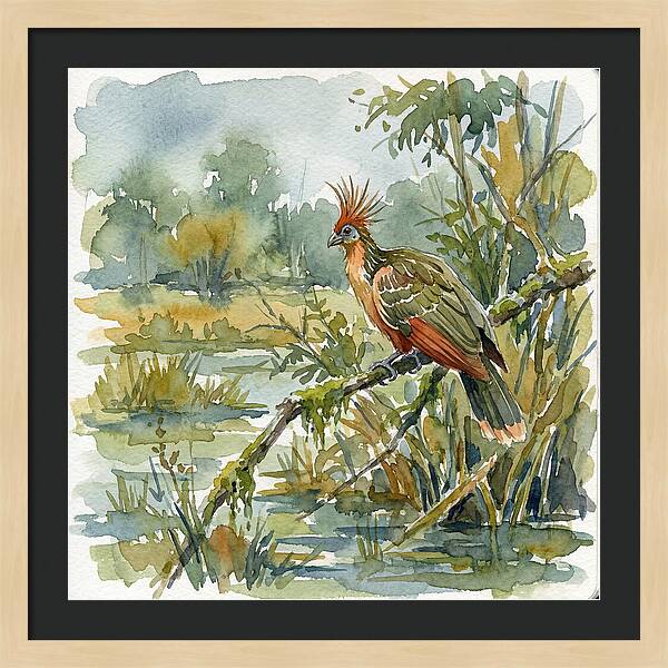 Hoatzin Perched In Nature