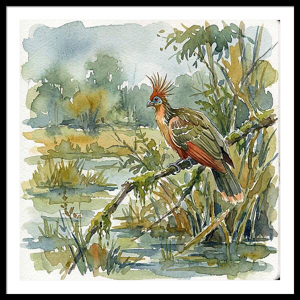 Hoatzin Perched In Nature