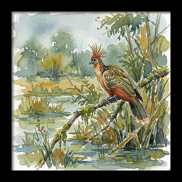 Hoatzin Perched In Nature