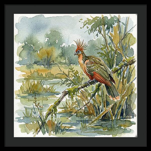 Hoatzin Perched In Nature