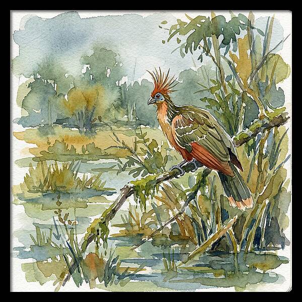 Hoatzin Perched In Nature