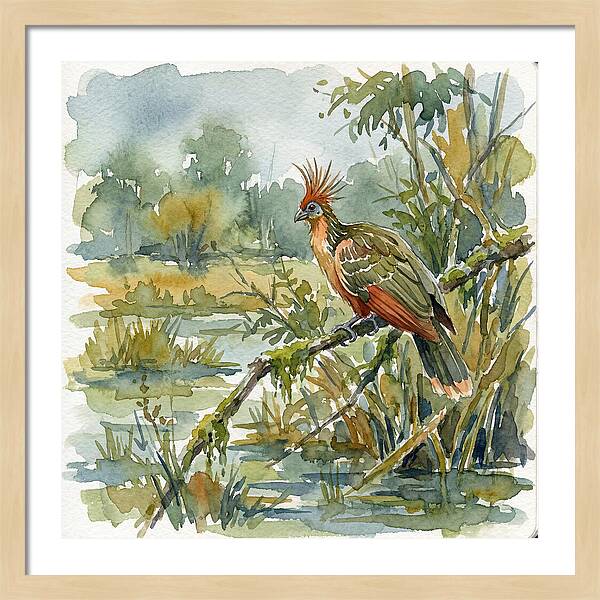 Hoatzin Perched In Nature