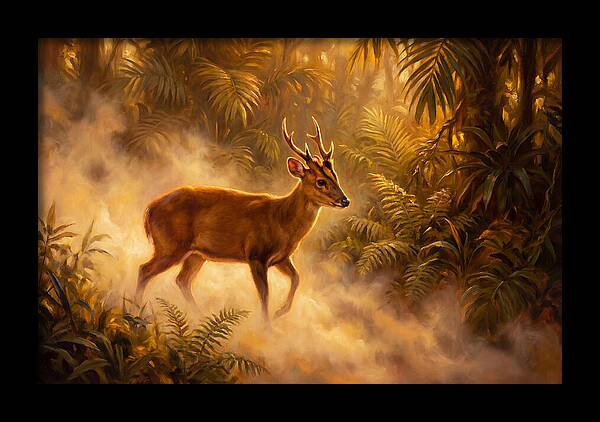 Hog Deer In Forest