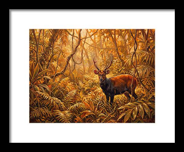 Hog Deer In Lush Wilderness