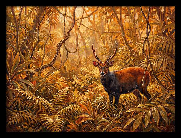 Hog Deer In Lush Wilderness